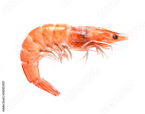 Shrimps isolated on transparent png