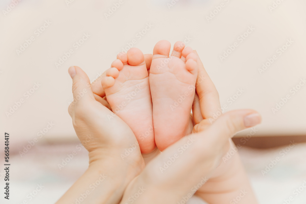 Baby feet in mother's hands. Mom and her child. happy family concept. baby feet Baby feet in mother's hands. Mom and her child. happy family concept. baby feet