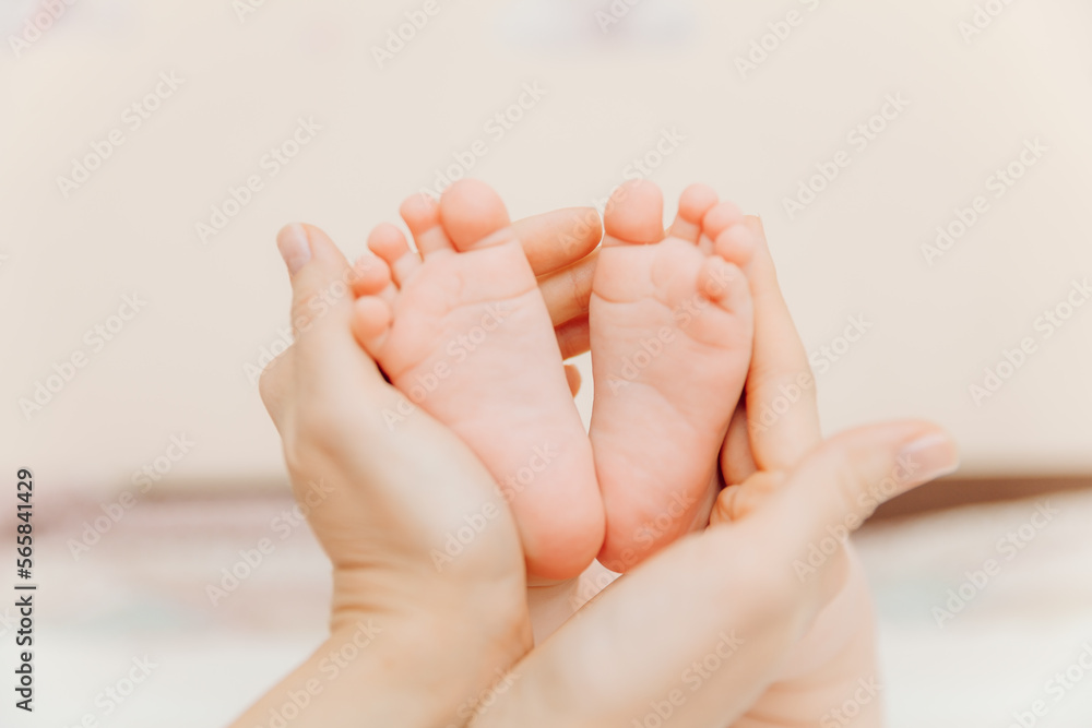 Baby feet in mother's hands. Mom and her child. happy family concept. baby feet Baby feet in mother's hands. Mom and her child. happy family concept. baby feet