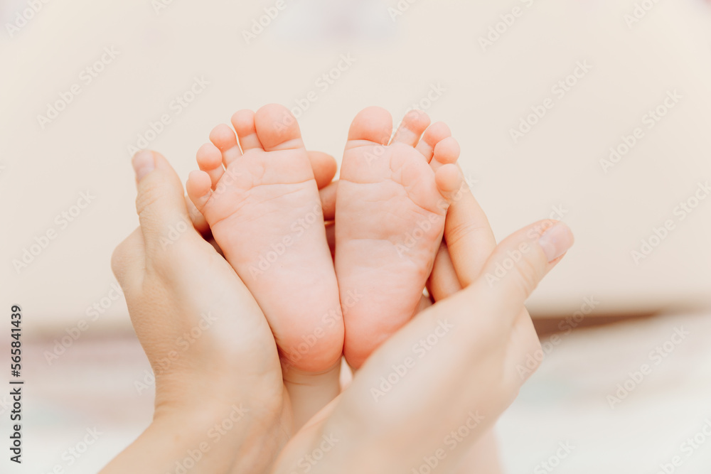 Baby feet in mother's hands. Mom and her child. happy family concept. baby feet Baby feet in mother's hands. Mom and her child. happy family concept. baby feet