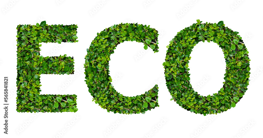 ECO text with green leaves on transparent background. ECO text with green leaves on transparent background.