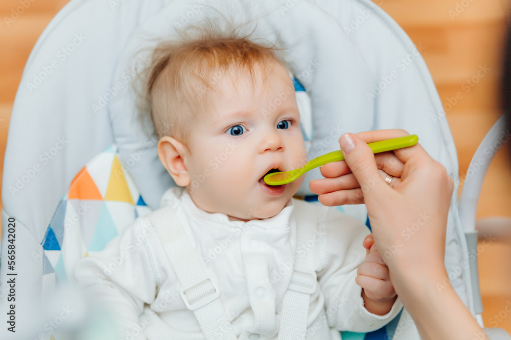 Mother gives fruit sauce to baby.mom feeds baby on highchair.baby food Mother gives fruit sauce to baby.mom feeds baby on highchair.baby food