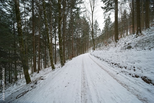 walk through a wintry forest in central europe 