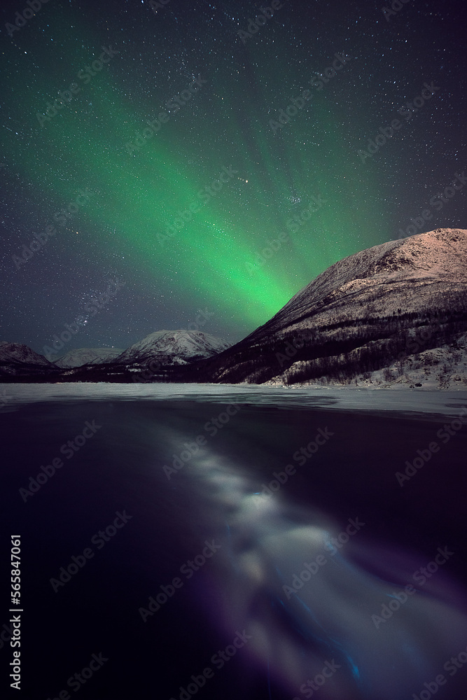 aurora & bioluminescence in the foreground