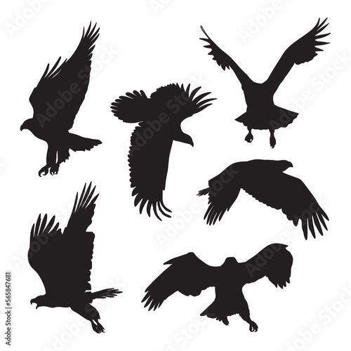 Set of eagle silhouette vector
