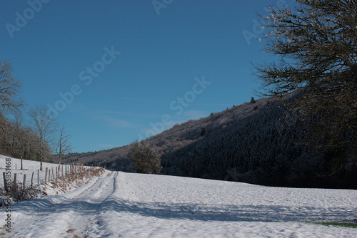 Chemin enneigé sous un beau ciel bleu - Jura - France