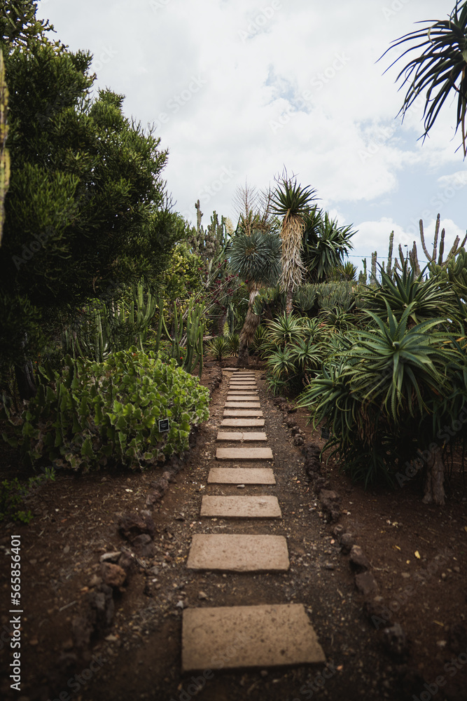 camino Jardín botanico de madeira camino Jardín botanico de madeira
