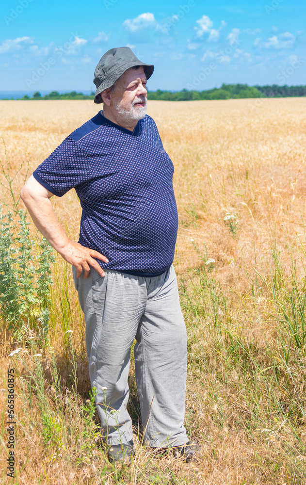 Portrait of elderly Ukrainian senior wearing hat  while standing in wheat   field