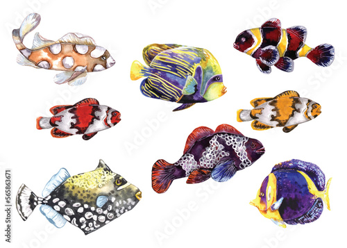 collection of eight fishes from artistic watercolor illustration © FireFLYart