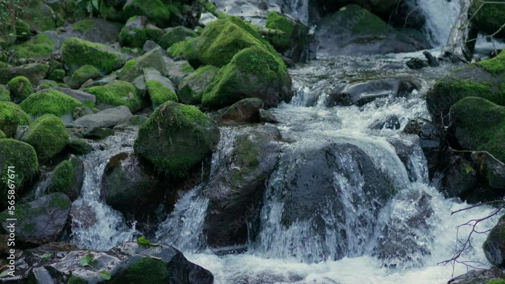 Close up shot of purity mountain stream running through moss and stones. Close up shot of purity mountain stream running through moss and stones.