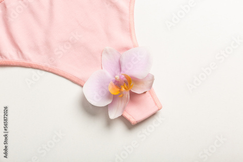 The concept of the reproductive organs of a woman, the vagina in the form of panties.