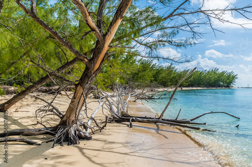 A view past driftwood along a deserted beach on the island of Eleuthera  Bahamas on a bright sunny day