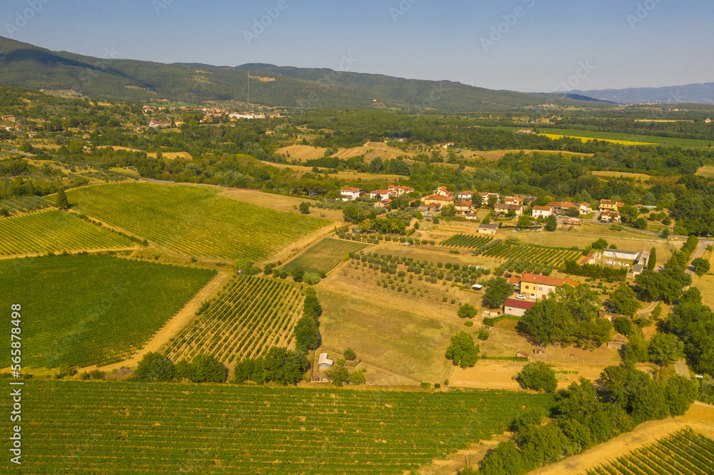 Drone photography of agricultural fields, vineyards and olive trees