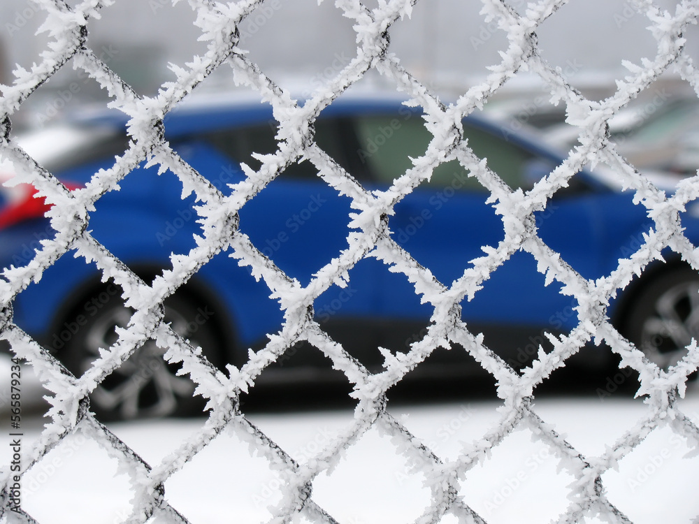 Fototapeta premium Hoarfrost - weather phenomenon