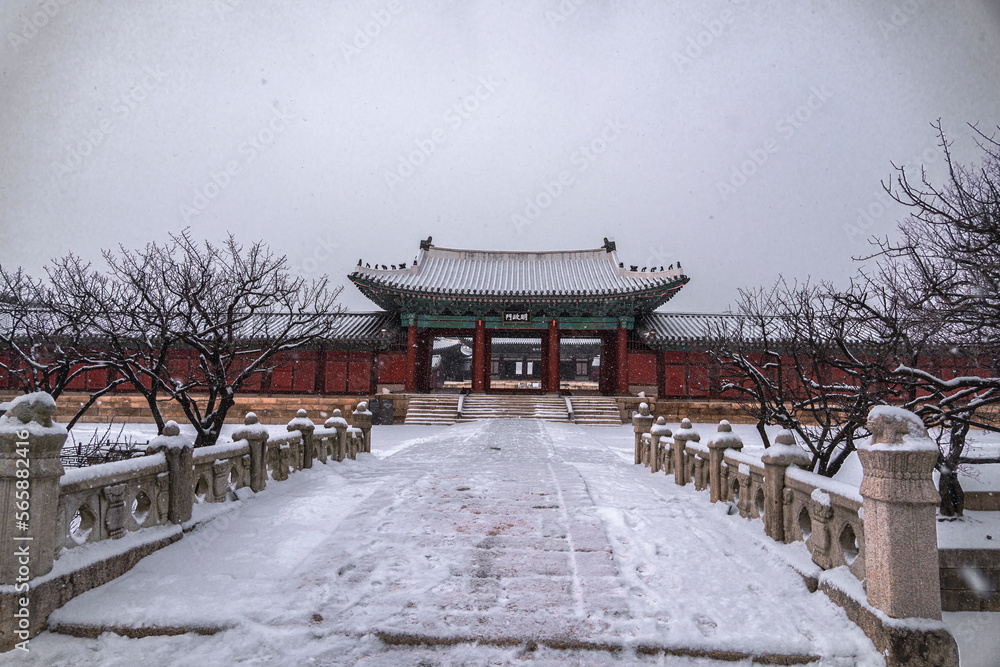 Snowy day in Changgyeonggung Palace, Seoul, Korea