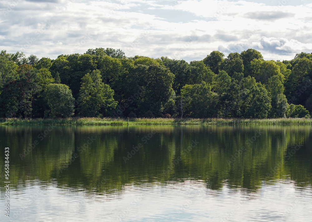 lake and forest