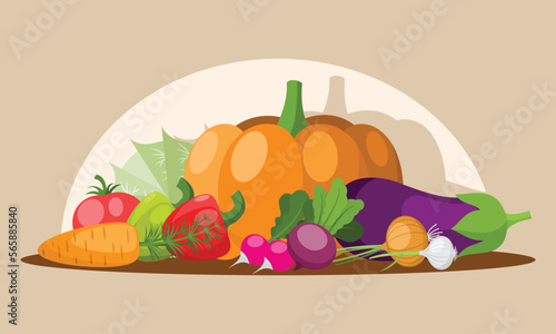 Various vegetables on the table: tomato, radish, paprika, pumpkin, cabbage, aubergine onion garlic carrot and eggplant. Vector llustration