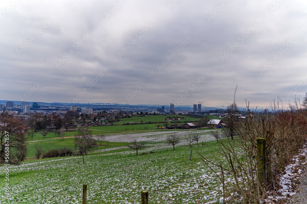 Scenic landscape with agriculture field, orchard and cityscape in the background at City of Zürich district Schwamendingen on a cloudy winter day. Photo taken January 29th, 2023, Zurich, Switzerland.