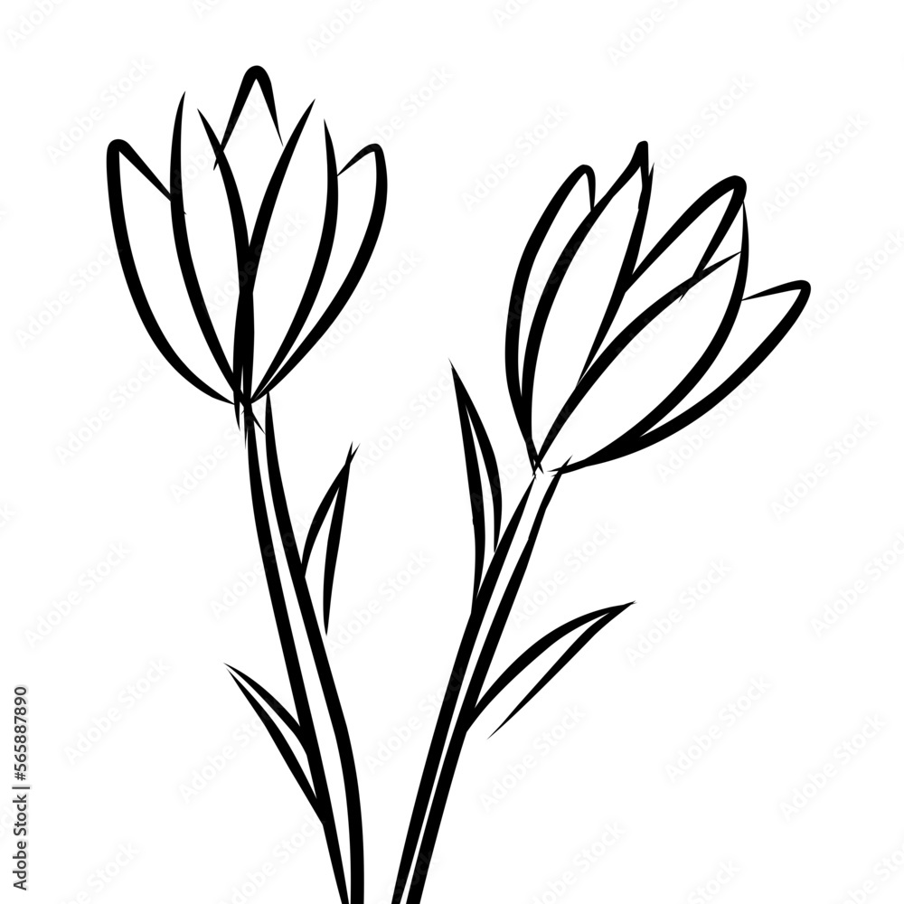 Fototapeta premium black and white silhouettes of flowers