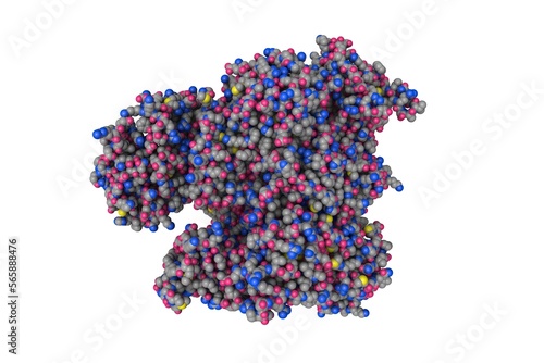 Fotografie Influenza A virus H7N9 polymerase elongation complex