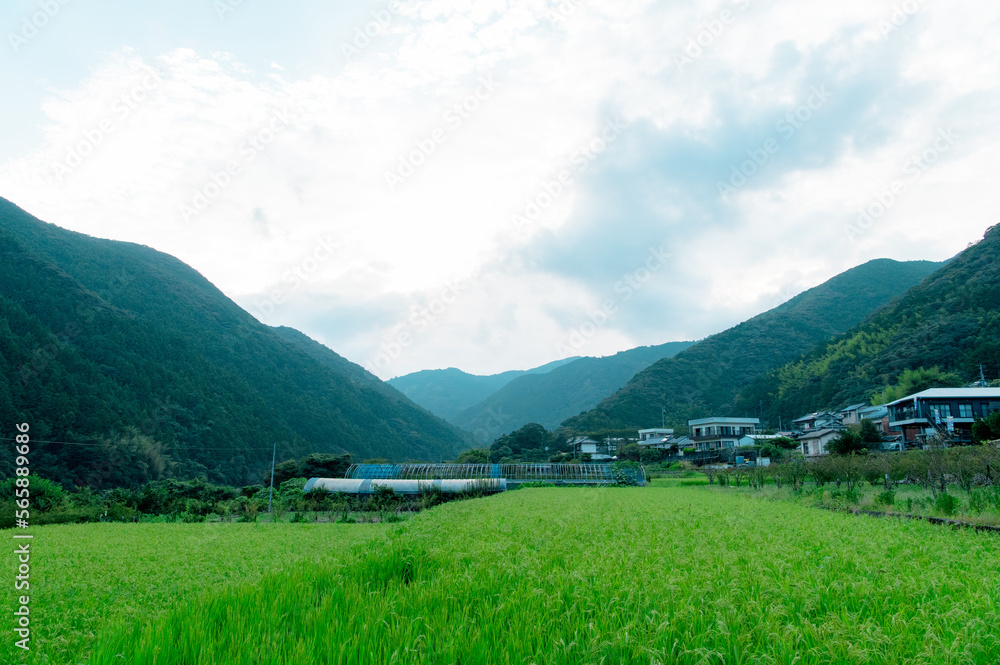 日本　高知県　原風景