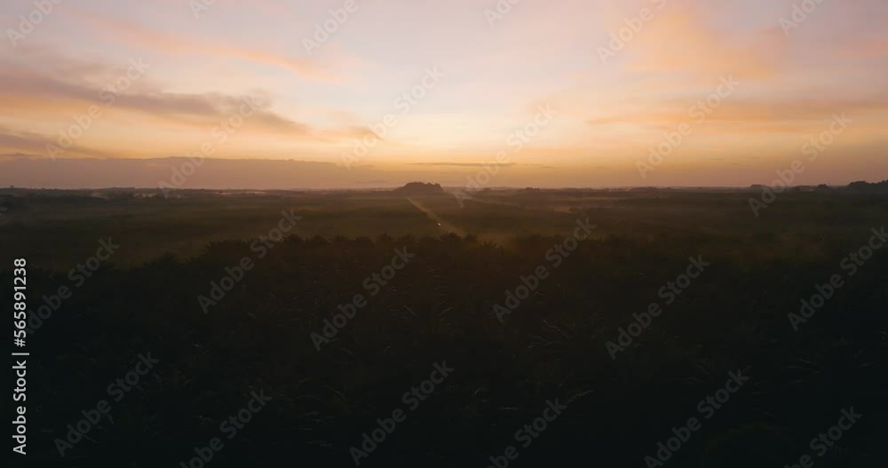 A bird's-eye view of a sunset movie scene in deep red skies over a spectacular palm oil plantation farmland. A bird's-eye view of a sunset movie scene in deep red skies over a spectacular palm oil plantation farmland.