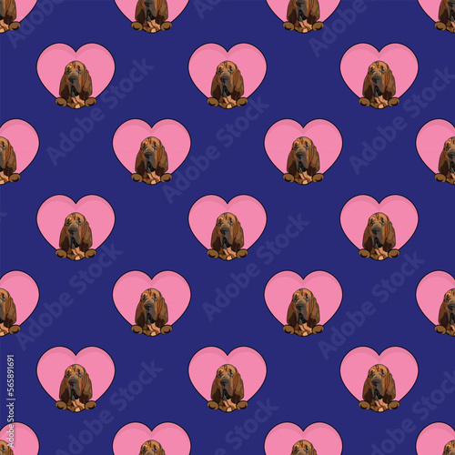 Bloodhound dog with paws pattern, Valentine's day heart wallpaper. Love heart with pet head holiday texture. Dog face Holding Heart Cartoon square background. St Valentine's day present paper.