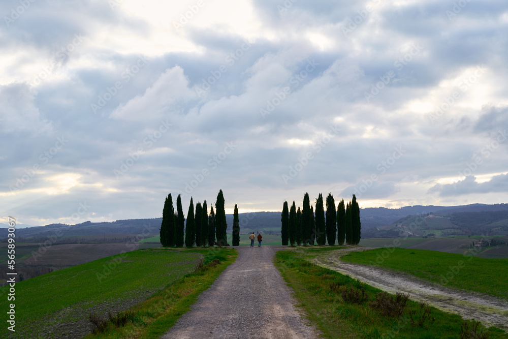 Rural landscape at San Quirico d'Orcia in Val d'Orcia, Tuscany	