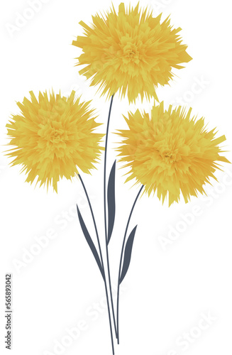 Three yellow flowers.  Vector file for designs.