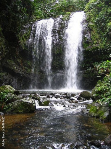 waterfall in the forest