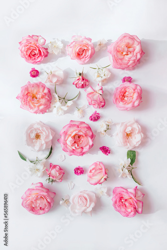 Summer floral pattern made of beautiful rose buds on white background. Nature and beauty concept. Top view. Flat lay