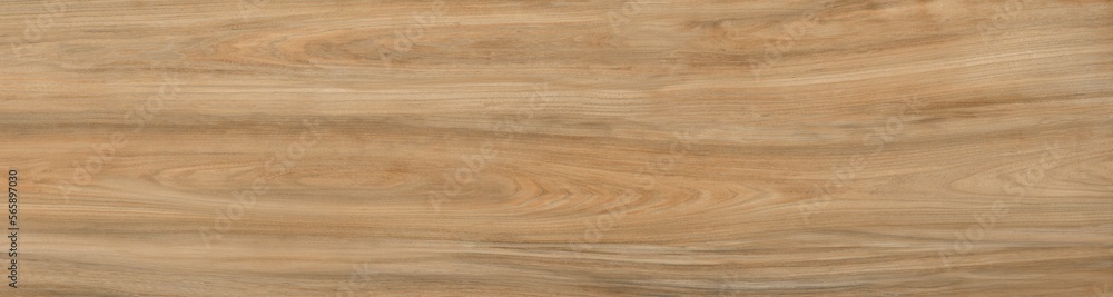 Obraz premium Wood texture