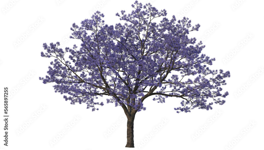 Obraz premium A tree with flowers of various colors on a transparent background.