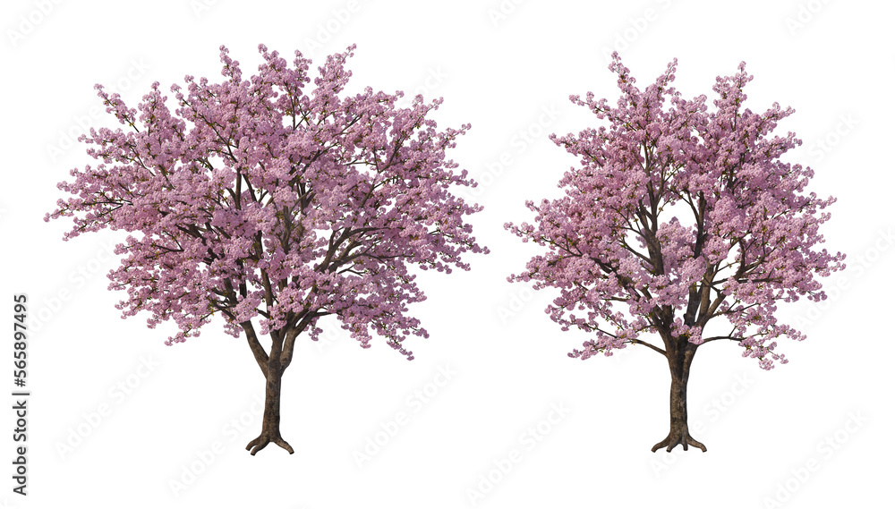 A tree with flowers of various colors on a transparent background. A tree with flowers of various colors on a transparent background.