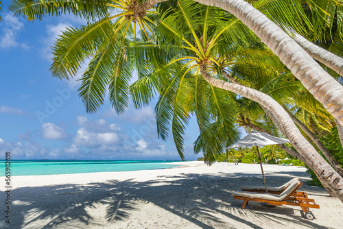 Amazing beach. Couple chairs on sandy beach sea. Luxury summer holiday vacation resort, travel tourism. Inspire tranquil tropical landscape. Sunny shore relax, beautiful honeymoon design love romance
