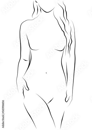 beautiful line drawing of female form minimalist .