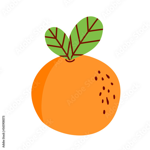 slice orange fruit illustration