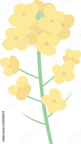 シンプルな菜の花ののベクターイラスト
