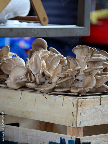 mushrooms on a wooden table at morning market Ljubljana Slovenia