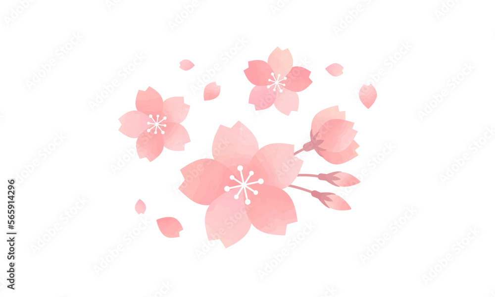 Fototapeta premium 桜・桜ふぶきの水彩風イラスト
