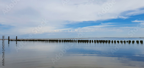 Fototapeta Naklejka Na Ścianę i Meble -  Wooden groynes in calm water with reflection on the dutch coast
