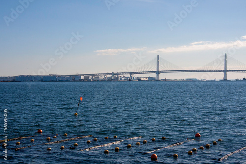 橋