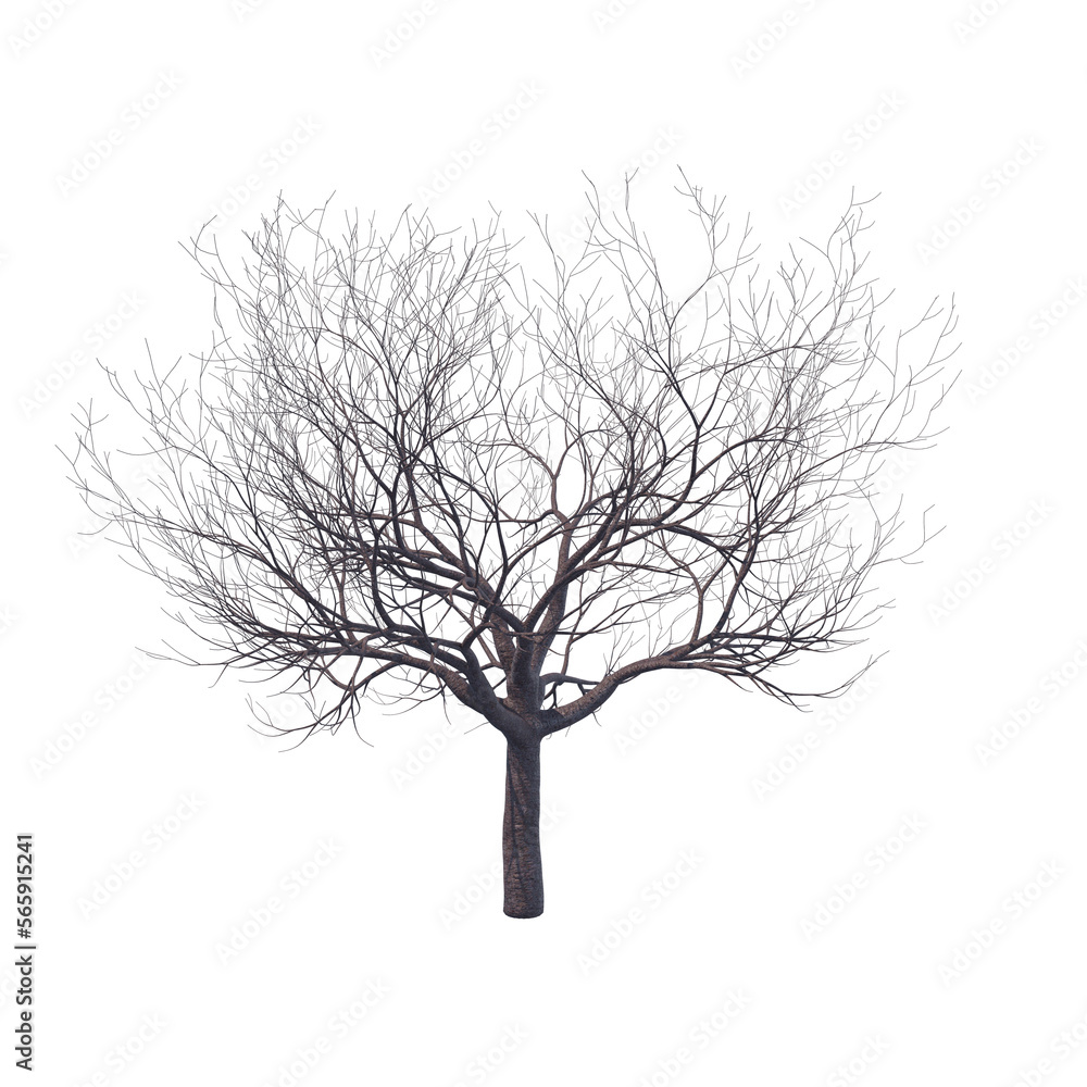 Bare cherry tree isolated transparent background 3d rendering
Bare cherry tree isolated transparent background 3d rendering