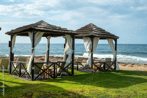 Fototapeta Naklejka Na Ścianę i Meble -  Vacation resorts on Cyprus near Paprhos with green grass, beach umbrellas, beds, beaches and palm trees, travel destination in EU, Cyprus