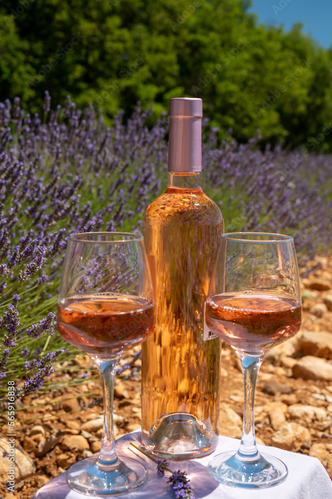 Lavender flowers fields in blossom near Valensole in Provence and glass and bottle of rose wine in sunny day, vacation in Provence, France
