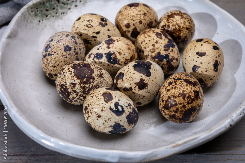 Fresh small spotted partridge or quail bird eggs Fresh small spotted partridge or quail bird eggs