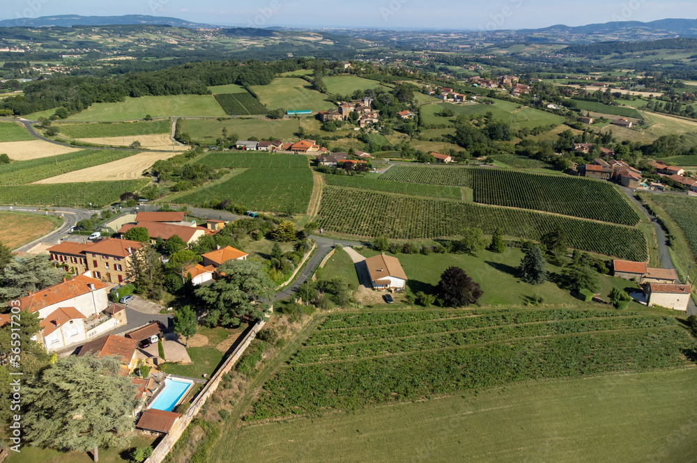 Obraz premium Wine making region Beaujolais Pierre dorees wioth yellow houses and hilly vineyards, aerial view, France