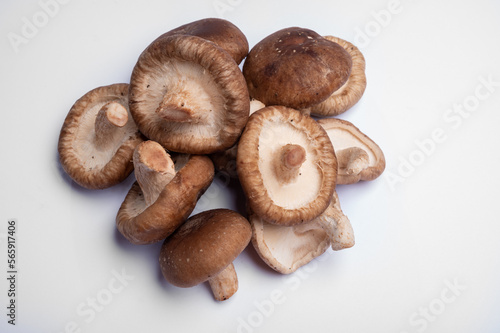 Fresh brown Lentinula edodes or shiitake edible mushrooms isolated on white background