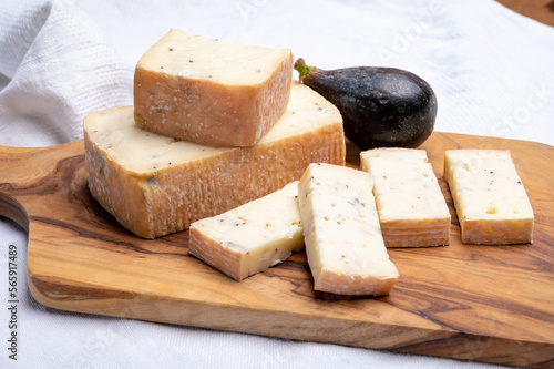 Foto Italian cheese collection, yellow taleggio cheese with black truffles mushrooms