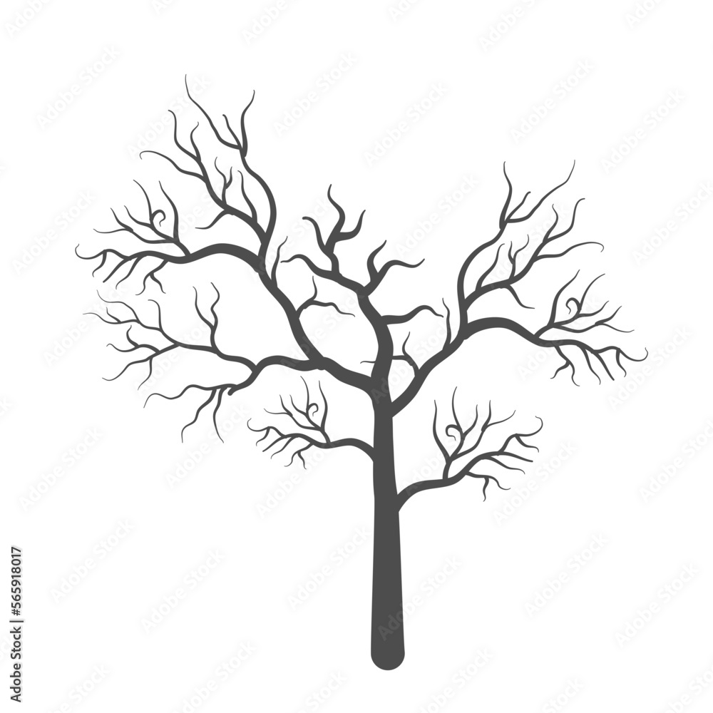Fototapeta premium dry dead tree silhouette